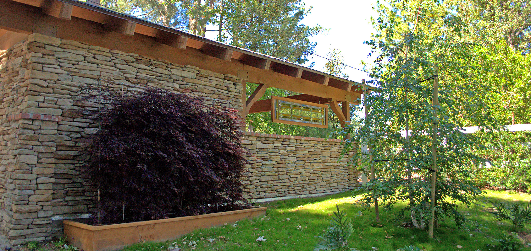 Espalier Japanese Maple Enchanted cottage, Japanese maple, Woodsy