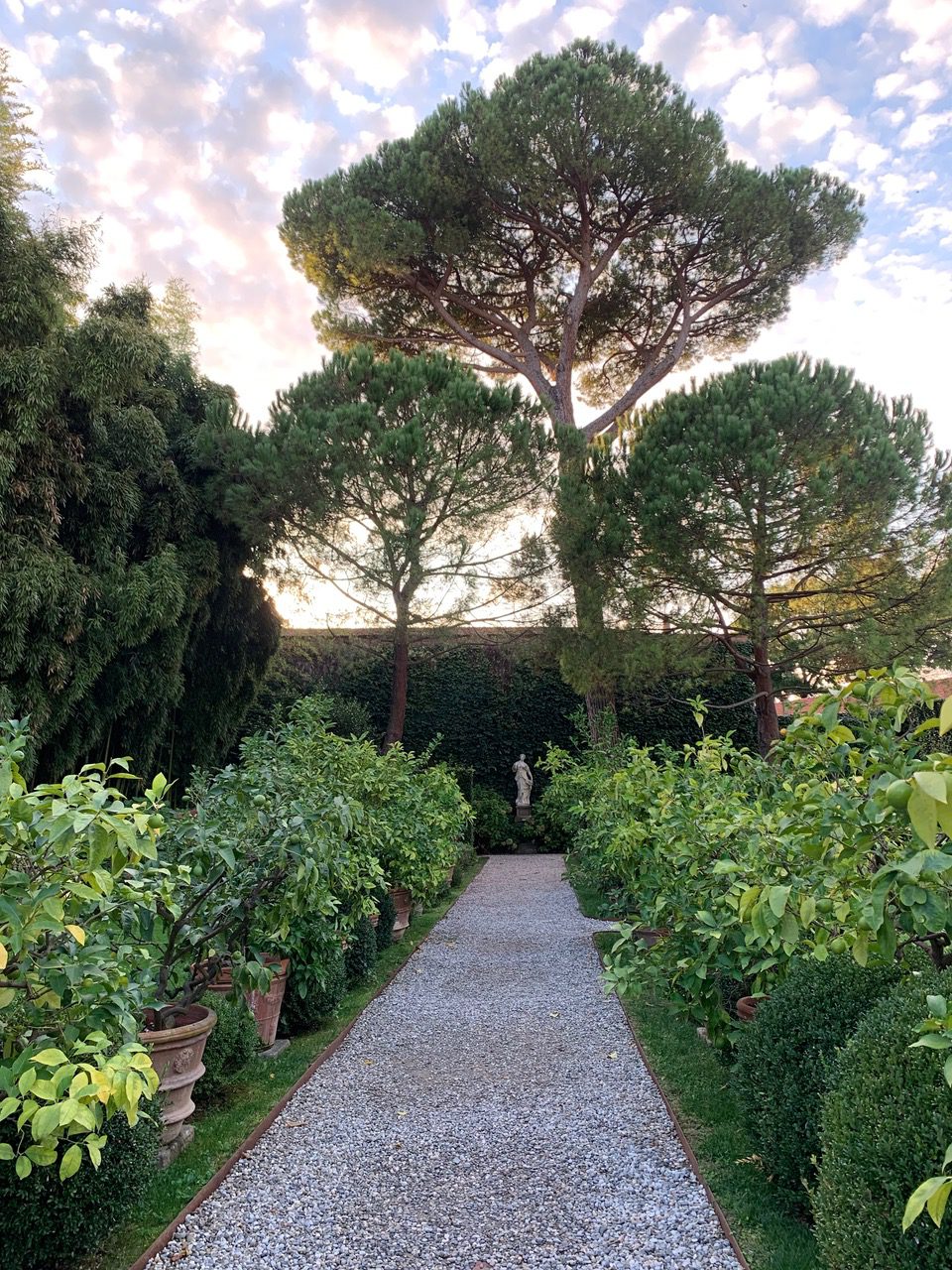 Tuscany Citrus Garden