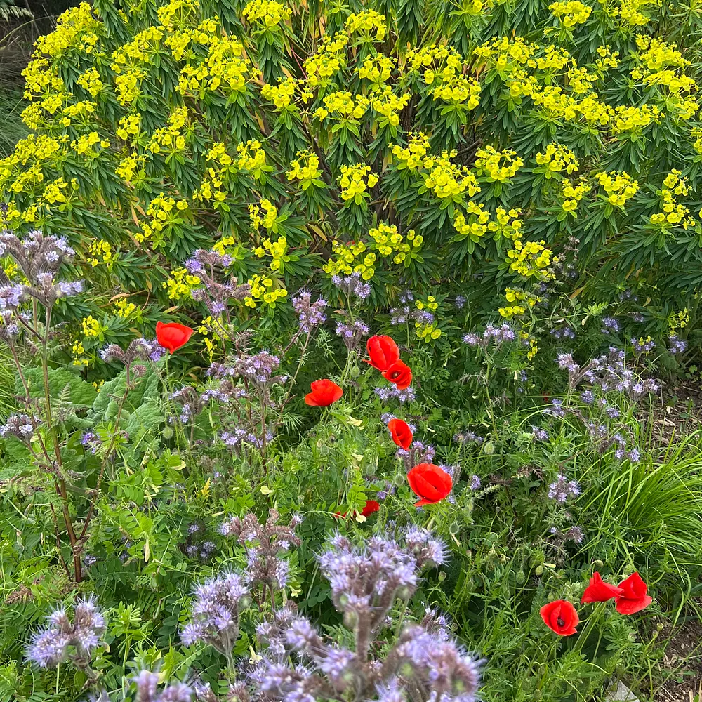 Floral Detail Le Jardin Champetre – Photo by David Laws