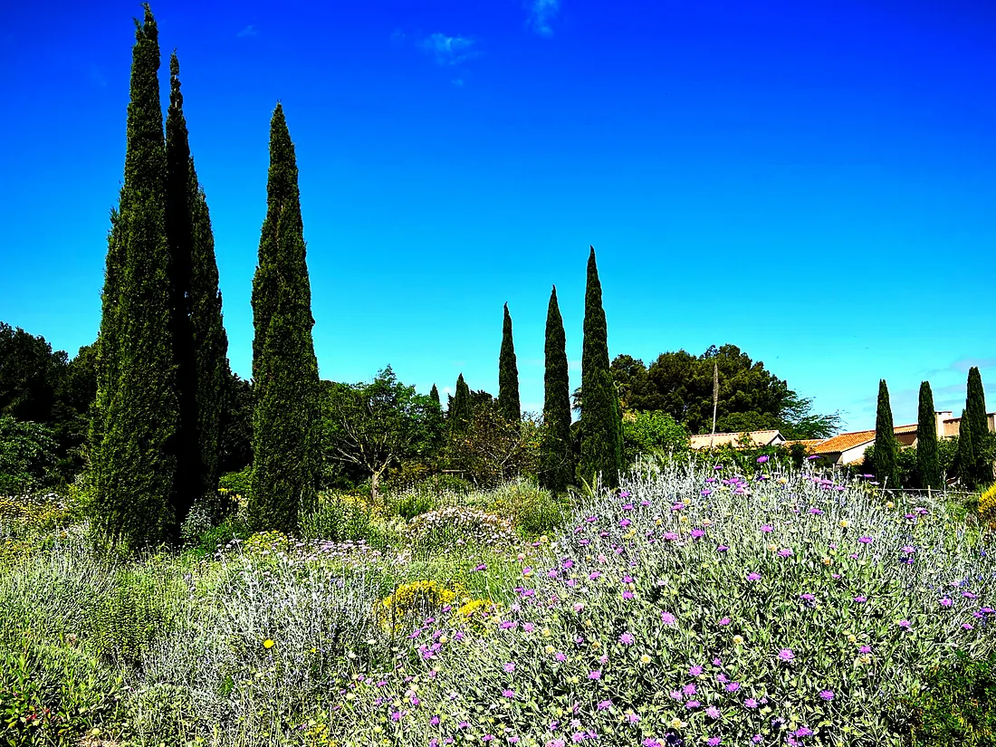Olivier Flippi Personal Garden – Photo by David Laws