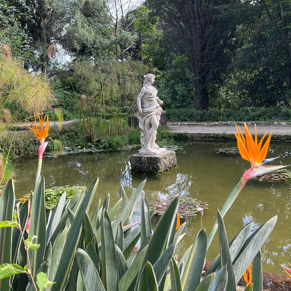 Serre de la Madone pond and Statue – Photo by David Laws